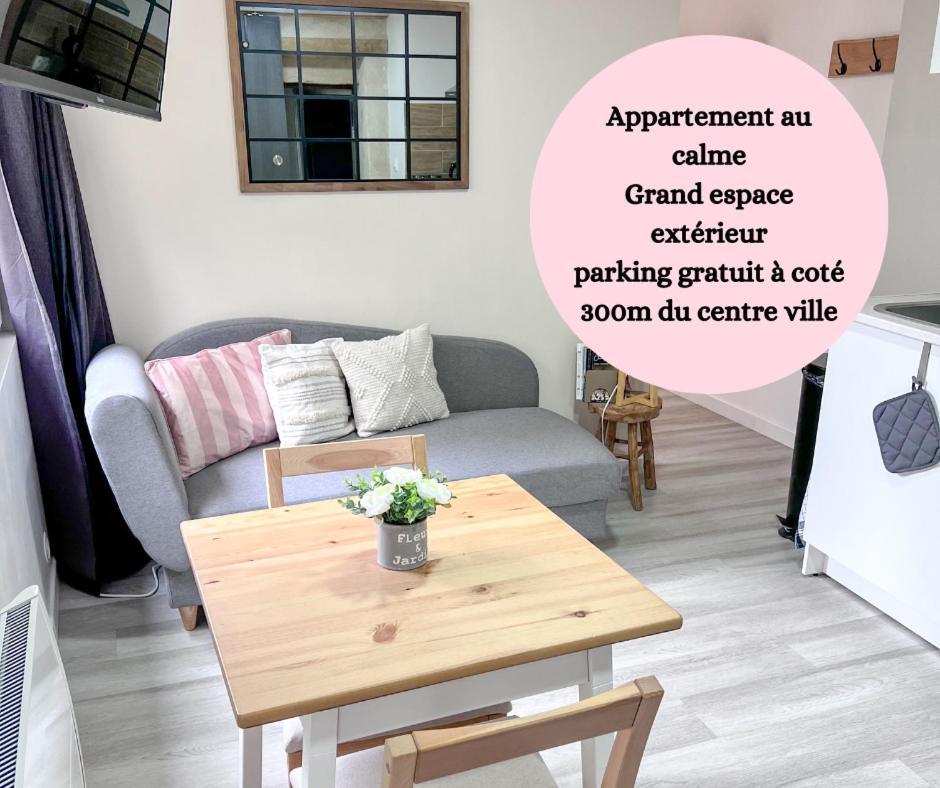 Le Badebec, Appt Dans Maison Typique Avec Jardin Prive Chinon Kültér fotó